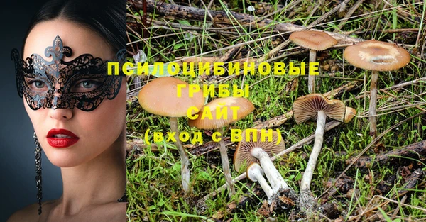 первитин Белоозёрский