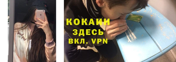твердый Белокуриха