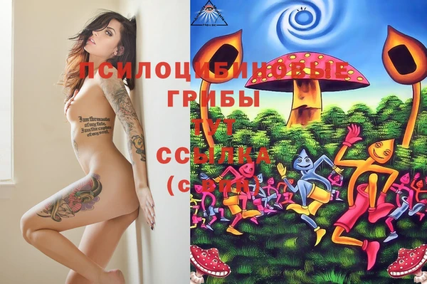 a pvp Беломорск