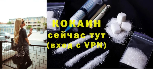 твердый Белокуриха
