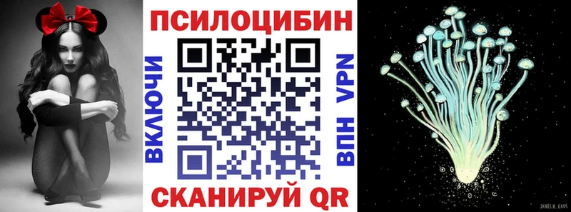 продажа наркотиков  Циолковский  Псилоцибиновые грибы мухоморы 